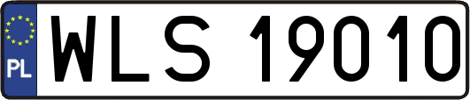 WLS19010