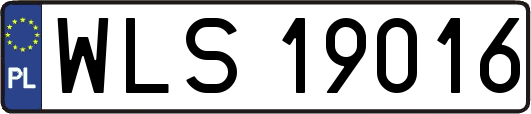 WLS19016