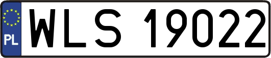 WLS19022