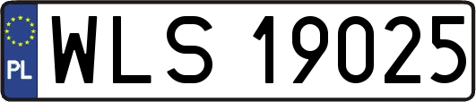 WLS19025