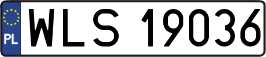 WLS19036