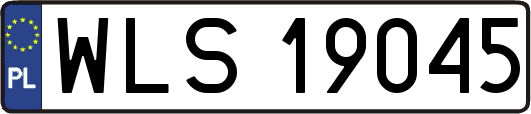 WLS19045