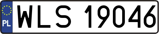 WLS19046