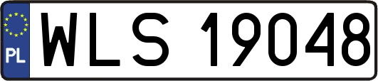 WLS19048