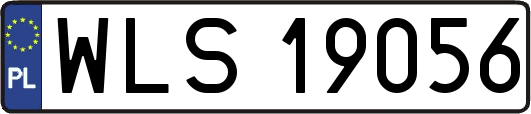 WLS19056