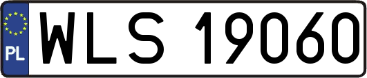 WLS19060