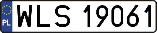 WLS19061