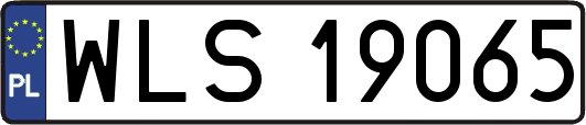 WLS19065