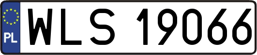 WLS19066