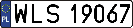 WLS19067