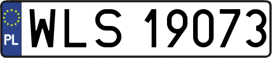 WLS19073