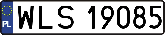 WLS19085