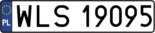 WLS19095