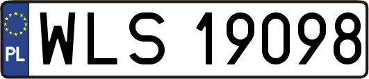 WLS19098