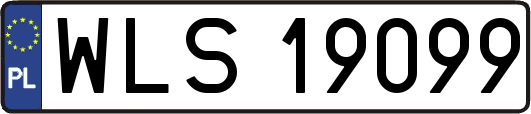 WLS19099