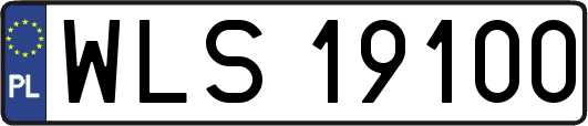 WLS19100