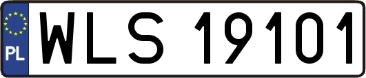 WLS19101