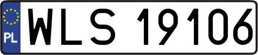 WLS19106