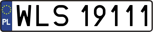 WLS19111