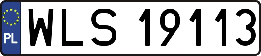 WLS19113