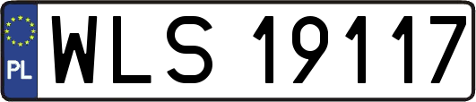 WLS19117