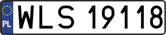 WLS19118