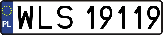 WLS19119