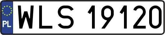 WLS19120