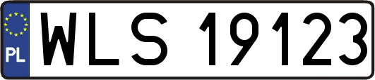 WLS19123