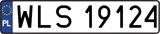 WLS19124