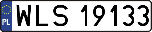 WLS19133