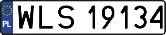 WLS19134