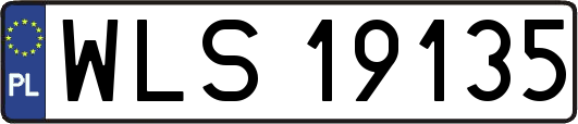 WLS19135