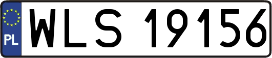 WLS19156