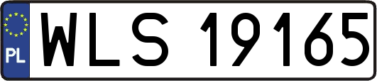 WLS19165