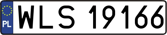 WLS19166