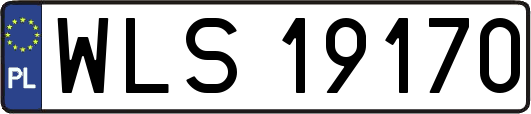 WLS19170