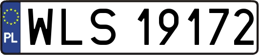 WLS19172