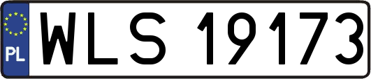 WLS19173