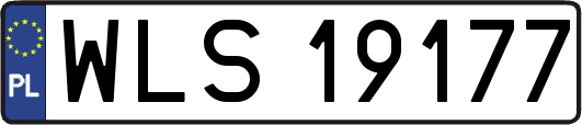 WLS19177