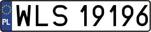 WLS19196