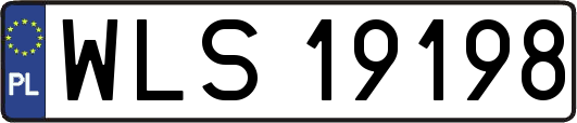 WLS19198