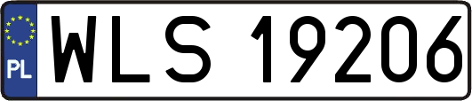 WLS19206