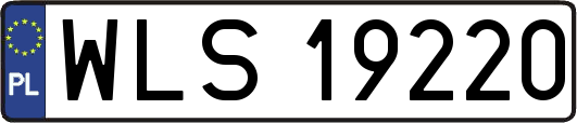 WLS19220