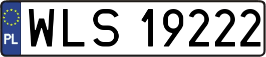 WLS19222
