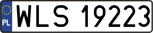 WLS19223