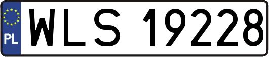 WLS19228