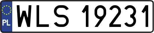 WLS19231