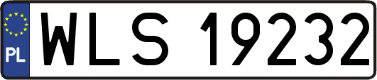 WLS19232