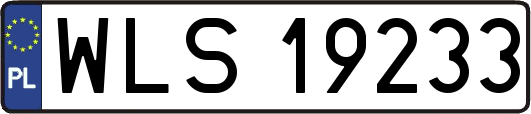 WLS19233